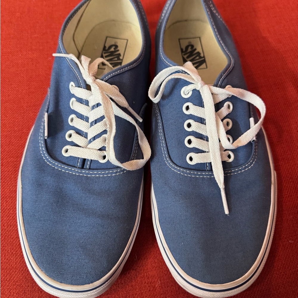 Vans Men's Navy Canvas Sneakers